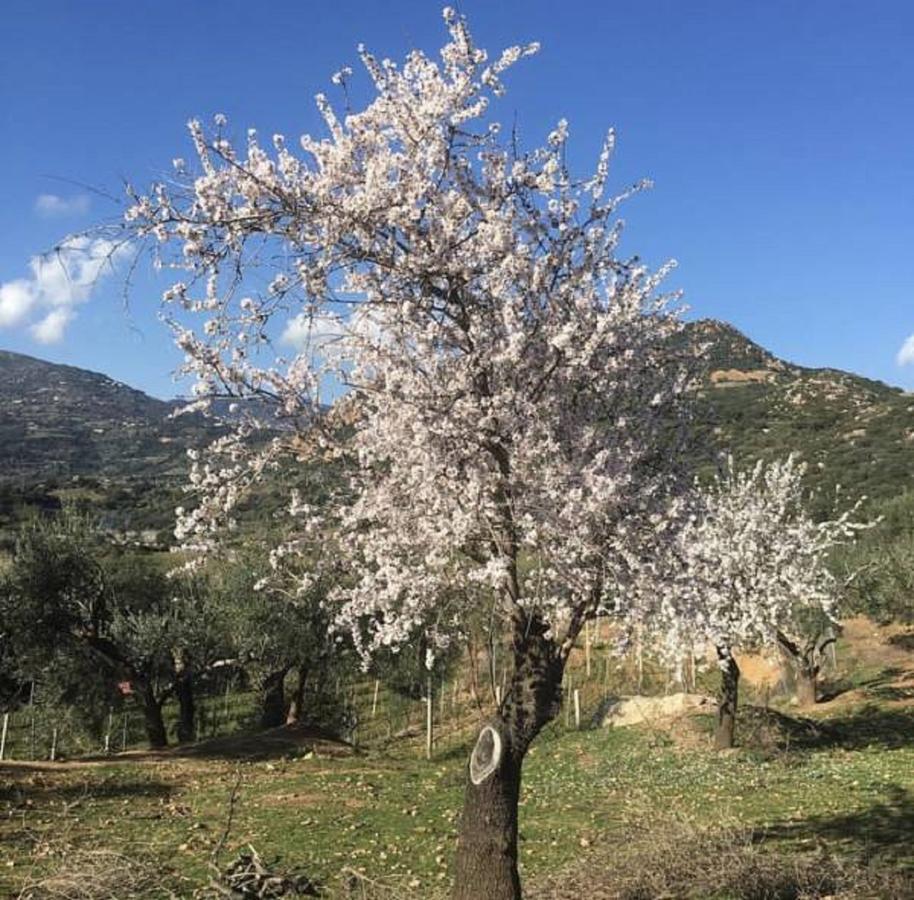 Agriturismo Su Barraccu Vila Loceri Exterior foto