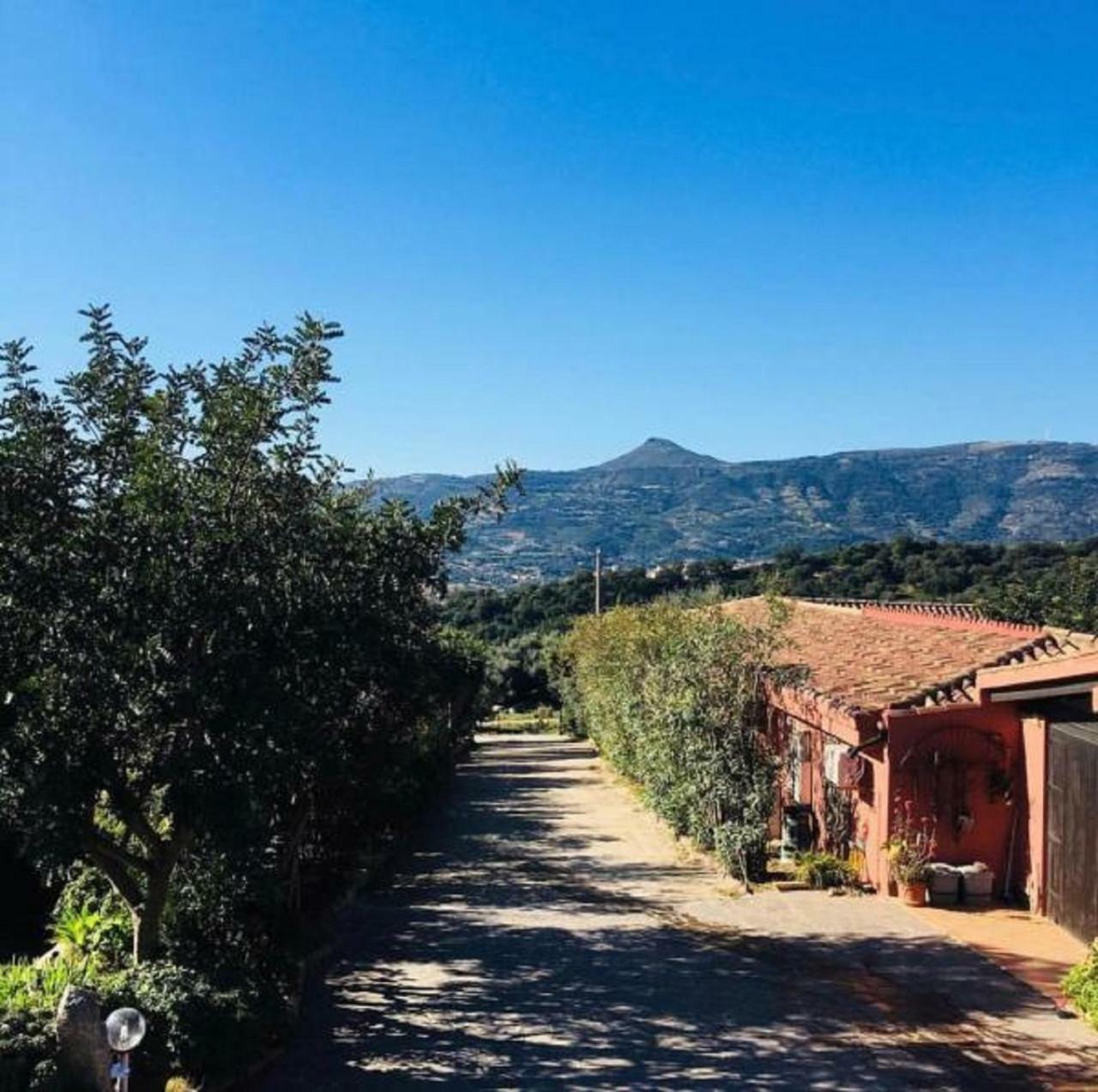 Agriturismo Su Barraccu Vila Loceri Exterior foto